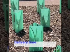 Пластиковая защита дерева