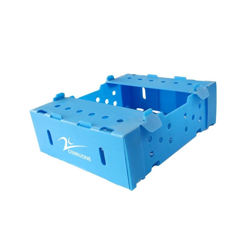 коробки 5mm 6mm Correx PP пластиковые для фруктов и овощей