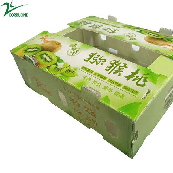 Шпинат гофрировал пластиковую продукцию кладет ящики для хранения в коробку 2mm Корфлейт