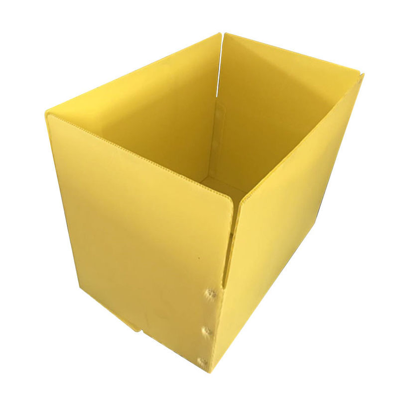 Желтая спаржа Correx PP гофрировала ящики для хранения коробки 3.5mm Корфлейт