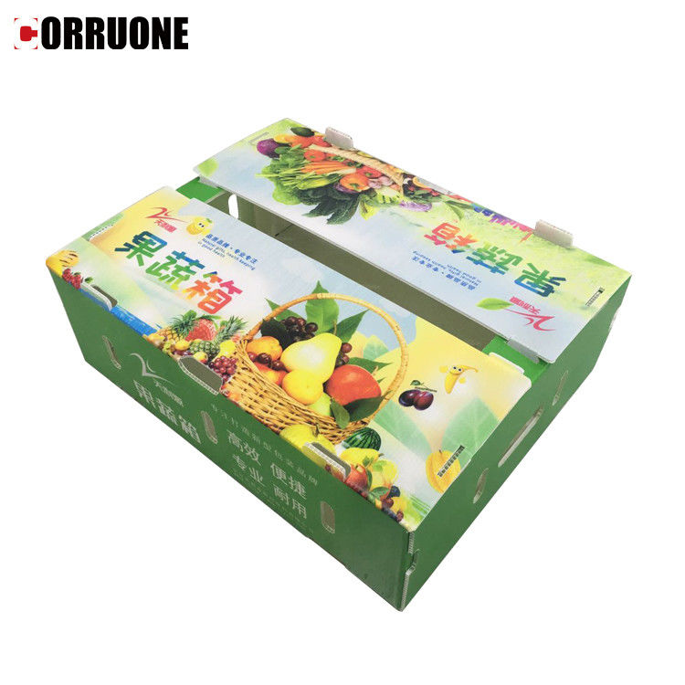 ПП гофрированная пластиковая коробка для овощей и фруктов коробка кукурузный брокколи и сельское хозяйство коробка для упаковки