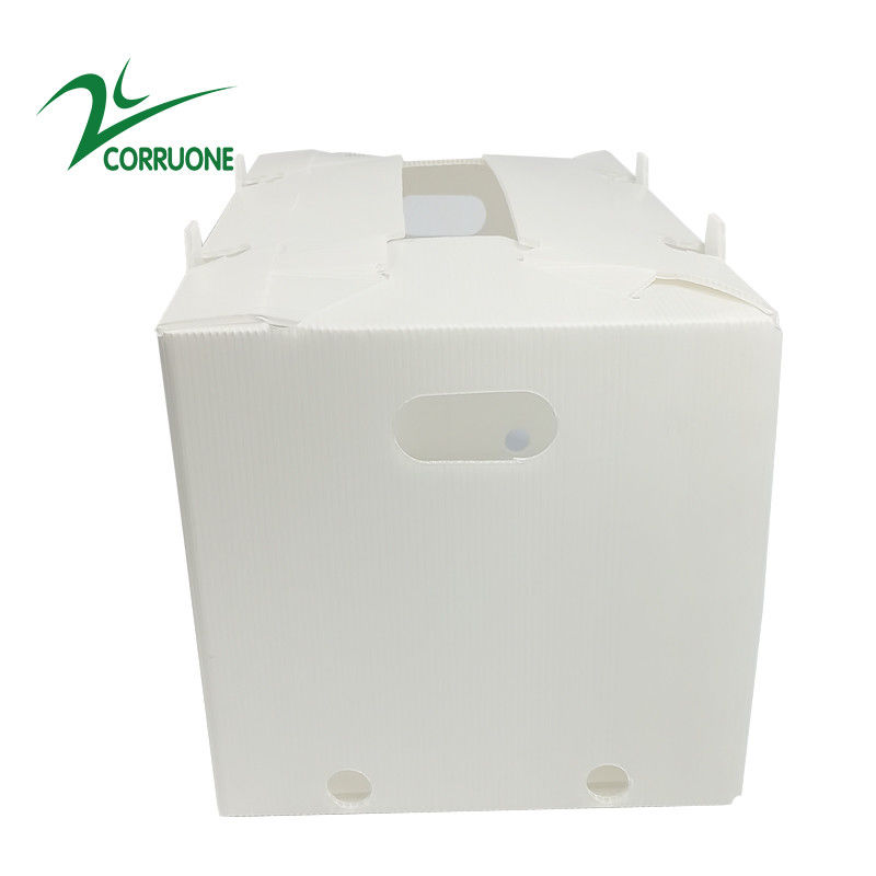 коробки Коропласт Correx коробки 2mm-11mm неубедительные складные рифленые пластиковые