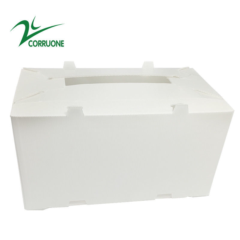 коробки Коропласт Correx коробки 2mm-11mm неубедительные складные рифленые пластиковые