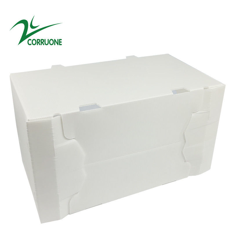 коробки Коропласт Correx коробки 2mm-11mm неубедительные складные рифленые пластиковые