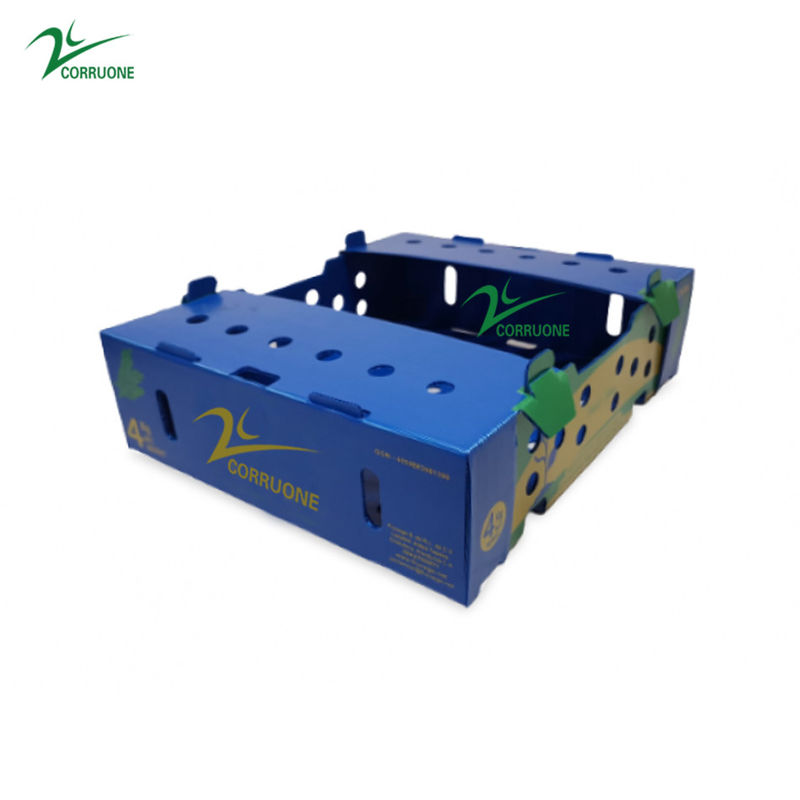 Danpla Corriboard гофрировало пластиковые двигая коробки для морепродуктов питания