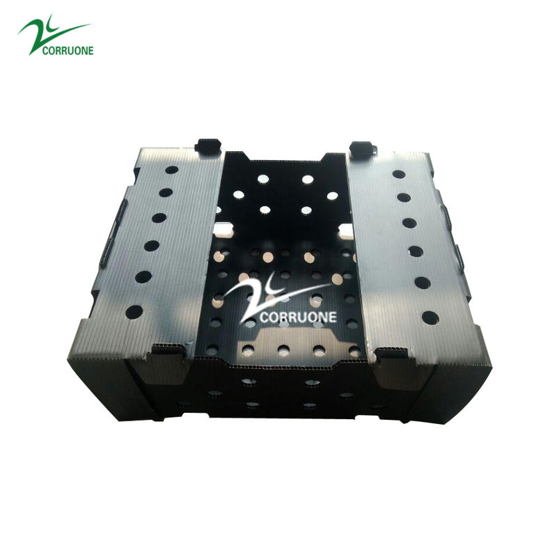 Danpla Corriboard гофрировало пластиковые двигая коробки для морепродуктов питания