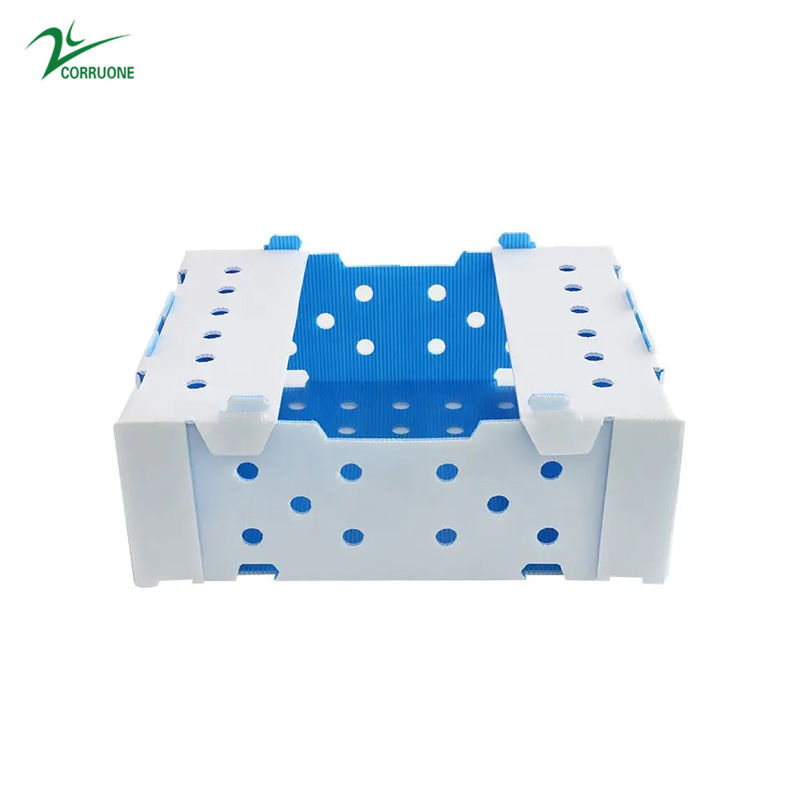 Danpla Corriboard гофрировало пластиковые двигая коробки для морепродуктов питания