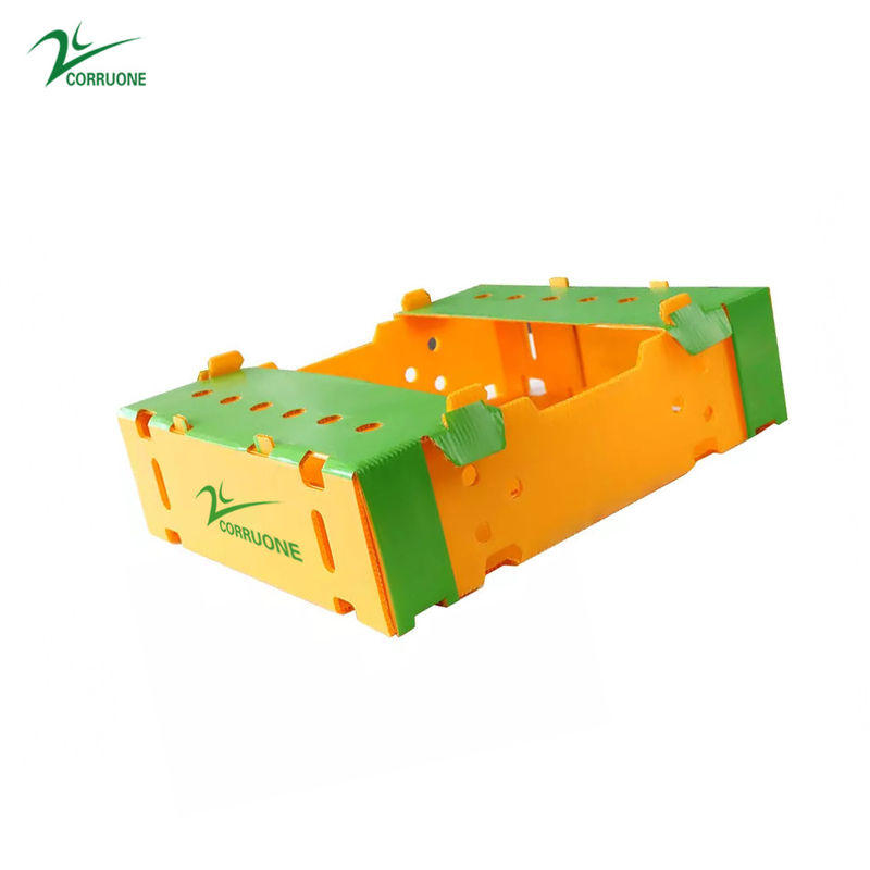 Danpla Corriboard гофрировало пластиковые двигая коробки для морепродуктов питания