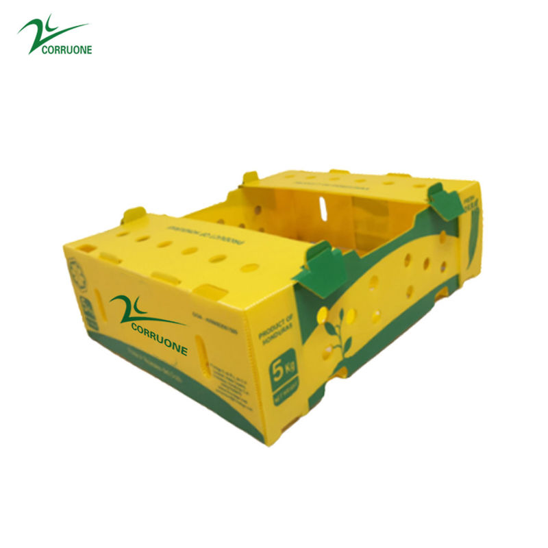 Danpla Corriboard гофрировало пластиковые двигая коробки для морепродуктов питания