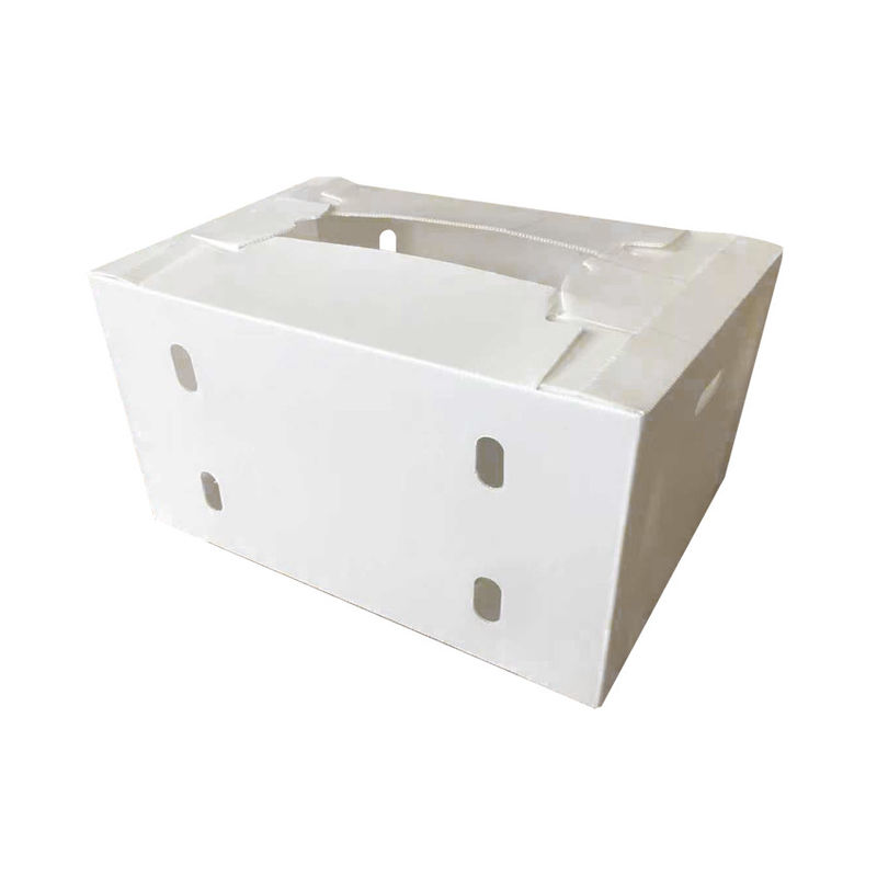 OEM Factory Produce PP Plastic Corrugated Box Для свежей сладкой кукурузы брокколи баклажаны Имбирный ящик
