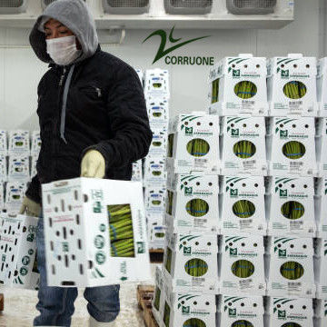 настройка складной красочный ПП пластик Коррекс Корфлют Коропласт перерабатывать овощи Фрукты Складные коробки