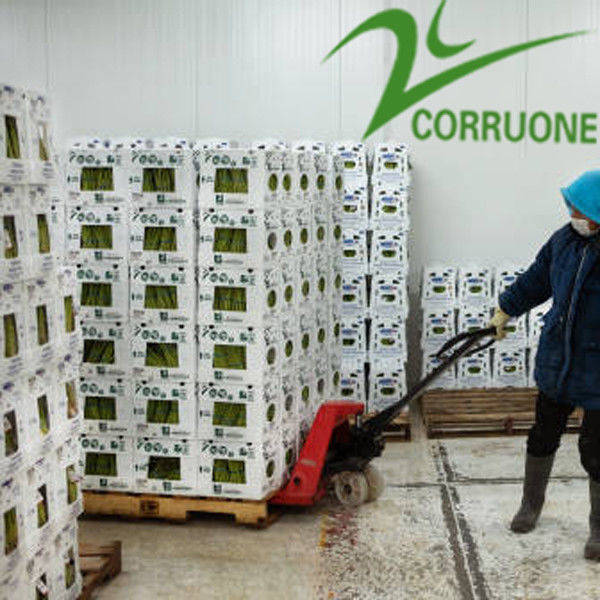 Черное Corriflute приносит плоды рифленые коробки гофрировало пластиковые тары для хранения